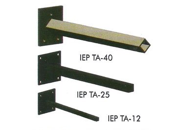 IEP TA